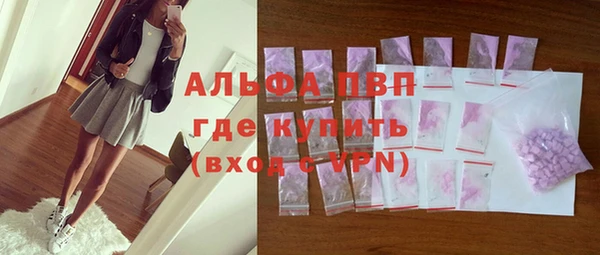 индика Протвино