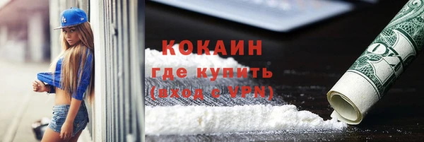 индика Протвино