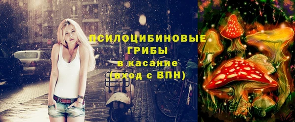 крисы Алзамай