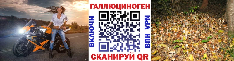 MEGA   Пласт  Псилоцибиновые грибы GOLDEN TEACHER 